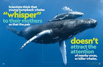 That's Fact-Tastic!: Mind-Blowing, Eye-Popping, Jaw-Dropping Stuff about Our World (Bet You Didn't Know) - National Geographic KIds [KSIĄŻKA]