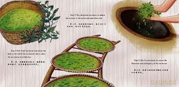 The Amazing Leaf in the Cup: A Tale of Tea Retold in English and Chinese [KSIĄŻKA]