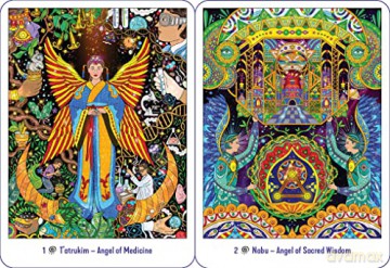 The Amazonian Angel Oracle: Working with Angels, Devas, and Plant Spirits - Howard G. Charing [KSIĄŻKA]