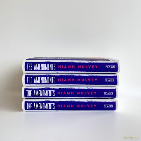 The Amendments: A deeply moving, multi-generational story about love and longing - Niamh Mulvey [KSIĄŻKA]