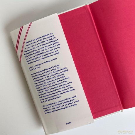 The Amendments: A deeply moving, multi-generational story about love and longing - Niamh Mulvey [KSIĄŻKA]