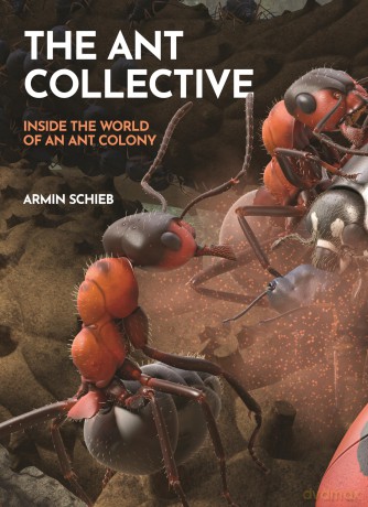 The Ant Collective: Inside the World of an Ant Colony - Armin Schieb [KSIĄŻKA]