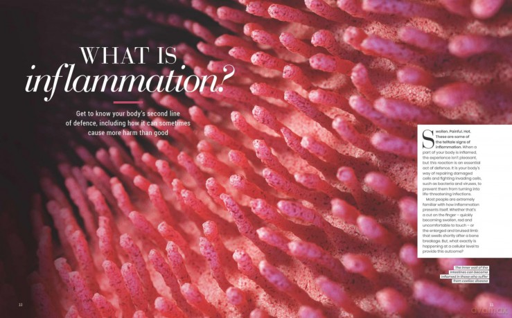 The Anti-Inflammatory Guide [KSIĄŻKA]