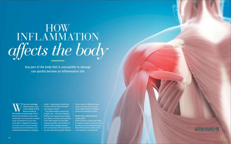 The Anti-Inflammatory Guide [KSIĄŻKA]