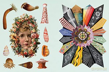 The Antiquarian Sticker Book: Imaginarium: An Illustrated Compendium of Adhesive Ephemera (The Antiquarian Sticker Book Series) - Odd Dot [KSIĄŻKA]