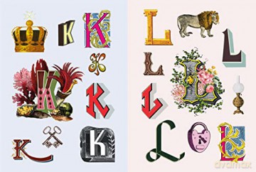 The Antiquarian Sticker Book: Imaginarium: An Illustrated Compendium of Adhesive Ephemera (The Antiquarian Sticker Book Series) - Odd Dot [KSIĄŻKA]