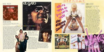The Art of the Bizarre Vinyl Sleeve: Crazy, Exotic, Tastelesss, Funny, Peculiar, Strange, Inept, Mind-Boggling, or Just Plain Wrong - Simon Robinson [KSIĄŻKA]