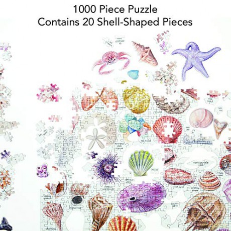 The Beachcomber's Companion 1000 Piece Puzzle With Shaped Pieces - Sarah McMenemy [KALENDARZ]
