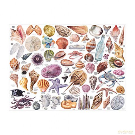 The Beachcomber's Companion 1000 Piece Puzzle With Shaped Pieces - Sarah McMenemy [KALENDARZ]