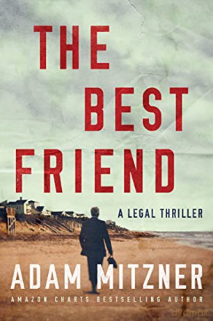 The Best Friend: 3 (Broden Legal, 3) - Adam Mitzner [KSIĄŻKA]