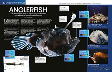 The Big Book Of The Ocean: Discover the Secrets of the Earth's Amazing Seas - Sona [KSIĄŻKA]