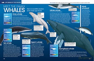 The Big Book Of The Ocean: Discover the Secrets of the Earth's Amazing Seas - Sona [KSIĄŻKA]