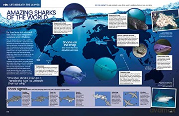The Big Book Of The Ocean: Discover the Secrets of the Earth's Amazing Seas - Sona [KSIĄŻKA]