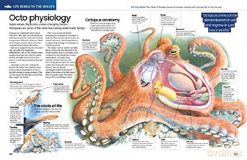 The Big Book Of The Ocean: Discover the Secrets of the Earth's Amazing Seas - Sona [KSIĄŻKA]