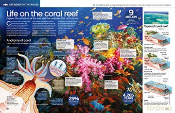 The Big Book Of The Ocean: Discover the Secrets of the Earth's Amazing Seas - Sona [KSIĄŻKA]