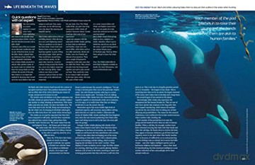The Big Book Of The Ocean: Discover the Secrets of the Earth's Amazing Seas - Sona [KSIĄŻKA]