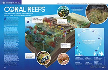 The Big Book Of The Ocean: Discover the Secrets of the Earth's Amazing Seas - Sona [KSIĄŻKA]