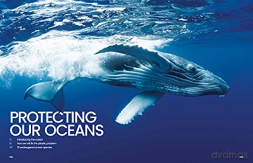 The Big Book Of The Ocean: Discover the Secrets of the Earth's Amazing Seas - Sona [KSIĄŻKA]