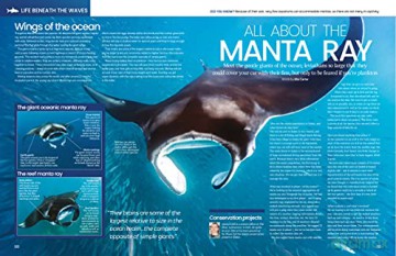 The Big Book Of The Ocean: Discover the Secrets of the Earth's Amazing Seas - Sona [KSIĄŻKA]