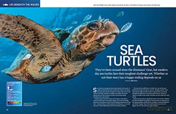 The Big Book Of The Ocean: Discover the Secrets of the Earth's Amazing Seas - Sona [KSIĄŻKA]