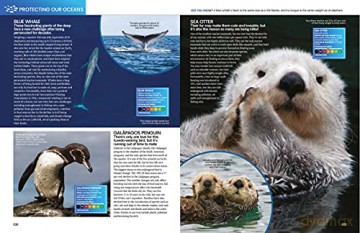 The Big Book Of The Ocean: Discover the Secrets of the Earth's Amazing Seas - Sona [KSIĄŻKA]