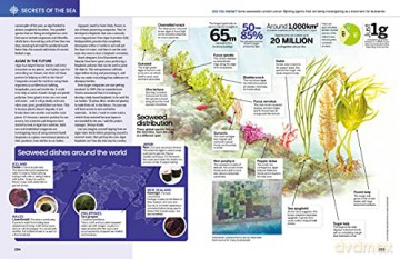 The Big Book Of The Ocean: Discover the Secrets of the Earth's Amazing Seas - Sona [KSIĄŻKA]