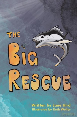 The Big Rescue - Jane Hird [KSIĄŻKA]