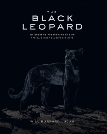 The Black Leopard: My Quest to Photograph One of Africa's Most Elusive Big Cats - Will Burrard-Lucas [KSIĄŻKA]