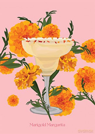 The Botanical Cocktail Deck of Cards: 50 cocktail recipes inspired by nature - Elouise Anders [KSIĄŻKA]