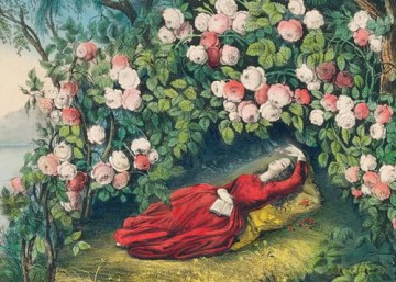 The Bower of Roses Puzzle: 1,000-pieces (John Derian Paper Goods): The Bower of Roses 1,000-Piece Puzzle (Artisan Puzzle) - Derian [KSIĄŻKA]