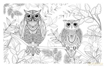 The Can't Sleep Colouring Journal - Dr Sarah Jane Arnold [KSIĄŻKA]