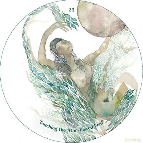 The Cantigee Oracle: An Ecological Spiritual Guide and Creative Prompt Deck - Rae Diamond [KSIĄŻKA]