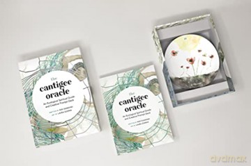 The Cantigee Oracle: An Ecological Spiritual Guide and Creative Prompt Deck - Rae Diamond [KSIĄŻKA]