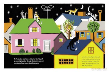The Cat at Night: The classic read-along picture book - Dahlov Ipcar [KSIĄŻKA]