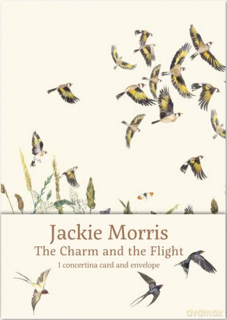 The Charm and the Flight Concertina Card - Jackie Morris [KSIĄŻKA]