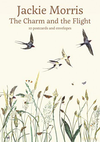 The Charm and the Flight Postcard Pack - Jackie Morris [KSIĄŻKA]