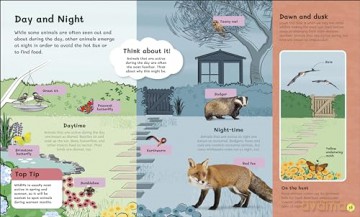 The Children's Book of Wildlife Watching: Tips for Spotting Nature Outdoors - Dan Rouse [KSIĄŻKA]
