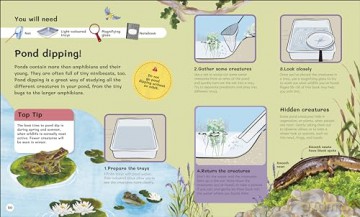 The Children's Book of Wildlife Watching: Tips for Spotting Nature Outdoors - Dan Rouse [KSIĄŻKA]