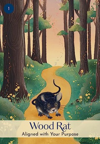 The Chinese Five Elements Oracle: A 60-Card Deck and Guidebook - Vicki Iskandar [KSIĄŻKA]