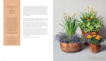 The Container Garden Recipe Book: 57 Designs for Pots, Window Boxes, Hanging Baskets, and More - Lana Williams [KSIĄŻKA]