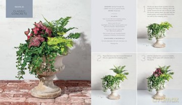 The Container Garden Recipe Book: 57 Designs for Pots, Window Boxes, Hanging Baskets, and More - Lana Williams [KSIĄŻKA]