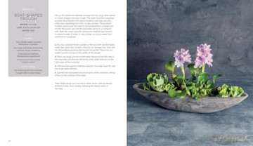 The Container Garden Recipe Book: 57 Designs for Pots, Window Boxes, Hanging Baskets, and More - Lana Williams [KSIĄŻKA]