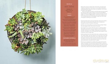 The Container Garden Recipe Book: 57 Designs for Pots, Window Boxes, Hanging Baskets, and More - Lana Williams [KSIĄŻKA]