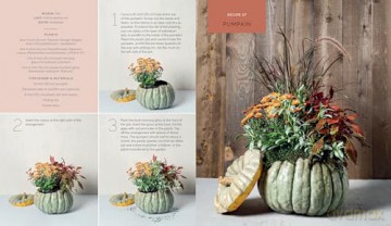 The Container Garden Recipe Book: 57 Designs for Pots, Window Boxes, Hanging Baskets, and More - Lana Williams [KSIĄŻKA]