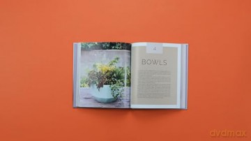 The Container Garden Recipe Book: 57 Designs for Pots, Window Boxes, Hanging Baskets, and More - Lana Williams [KSIĄŻKA]