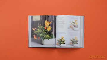 The Container Garden Recipe Book: 57 Designs for Pots, Window Boxes, Hanging Baskets, and More - Lana Williams [KSIĄŻKA]