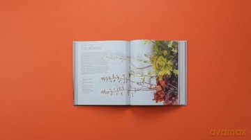 The Container Garden Recipe Book: 57 Designs for Pots, Window Boxes, Hanging Baskets, and More - Lana Williams [KSIĄŻKA]