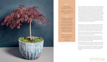 The Container Garden Recipe Book: 57 Designs for Pots, Window Boxes, Hanging Baskets, and More - Lana Williams [KSIĄŻKA]