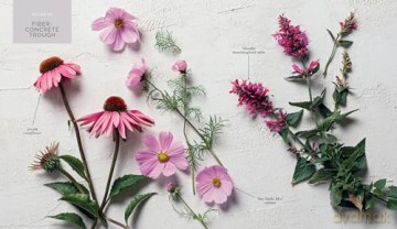 The Container Garden Recipe Book: 57 Designs for Pots, Window Boxes, Hanging Baskets, and More - Lana Williams [KSIĄŻKA]