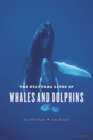 The Cultural Lives of Whales and Dolphins (Emersion: Emergent Village resources for communities of faith) [KSIĄŻKA]